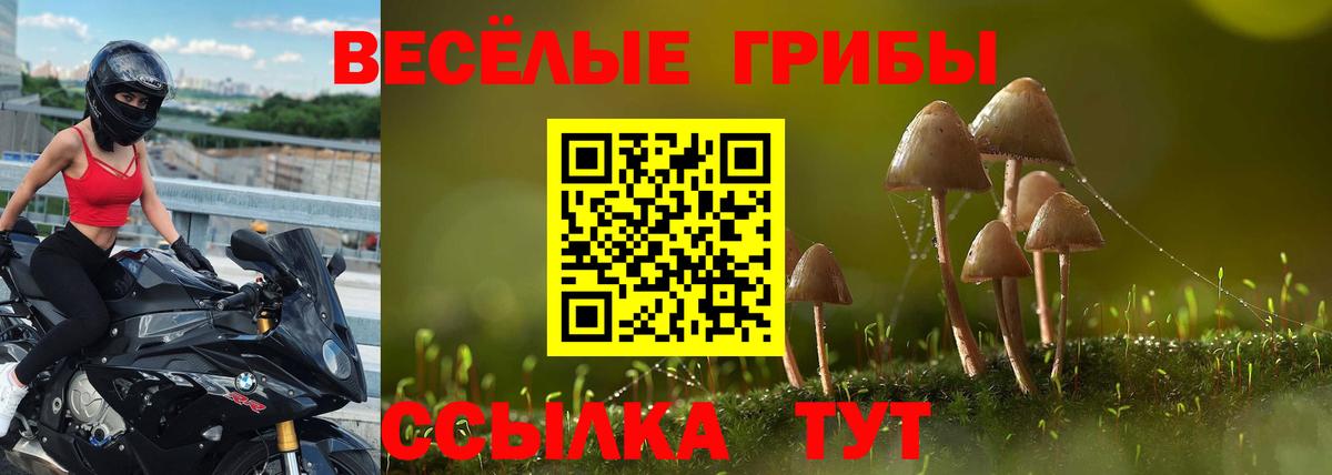 Белебей  Галлюциногенные грибы прущие грибы  Вход с VPN 